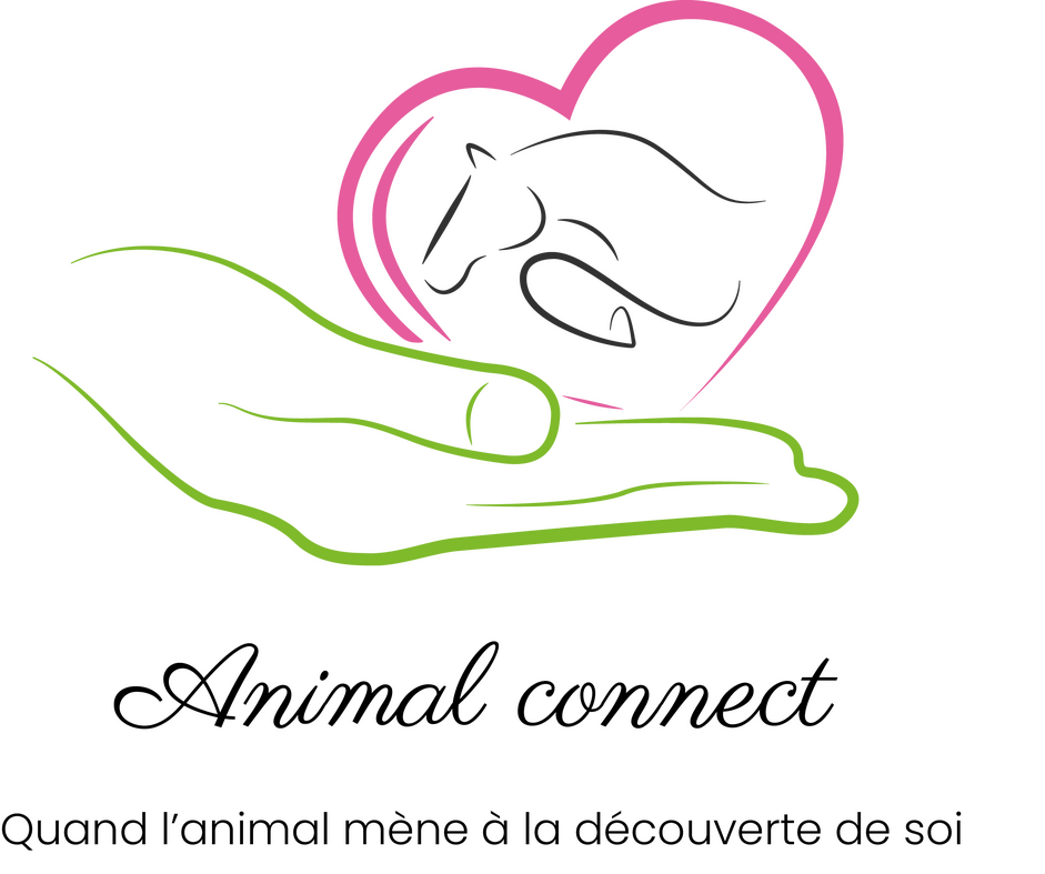 logo Animal Connect