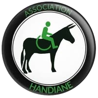 logo HandiÂne
