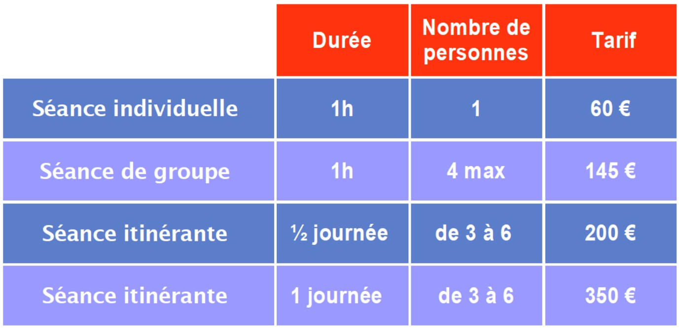 Randonner avec des ânes Des ânes bâtés avancent sur un chemin au travers d'un champ de vignes.